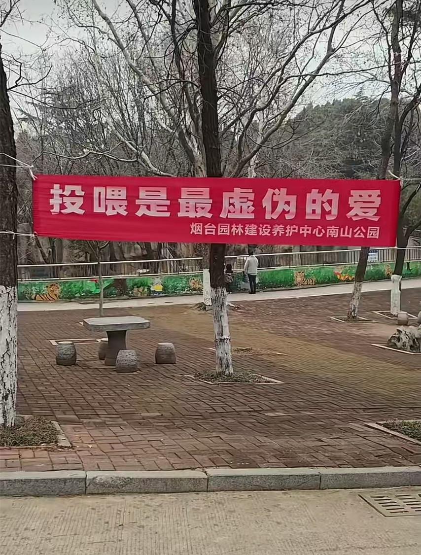 亚博中国官网-“投喂是最虚伪的爱!”烟台一动物园标语被指豪横,园方回应“卖投喂食品强制爱”质疑